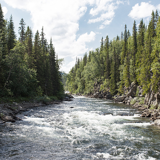 the-river